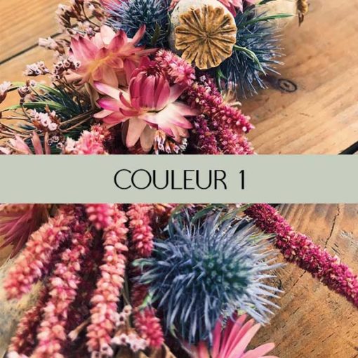 couleurs fleurs séchées